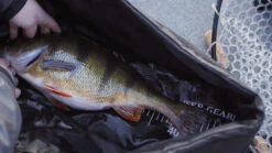 FKP-Gear Perch Station -Günstiges Eisangeln Tackle Geschäft FKPPERCHSTATION 5