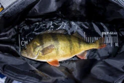 FKP-Gear Perch Station -Günstiges Eisangeln Tackle Geschäft FKPPERCHSTATION 6